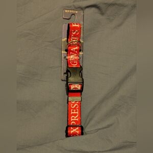 Buckle Down, Harry Potter Dog Collar, Size Medium